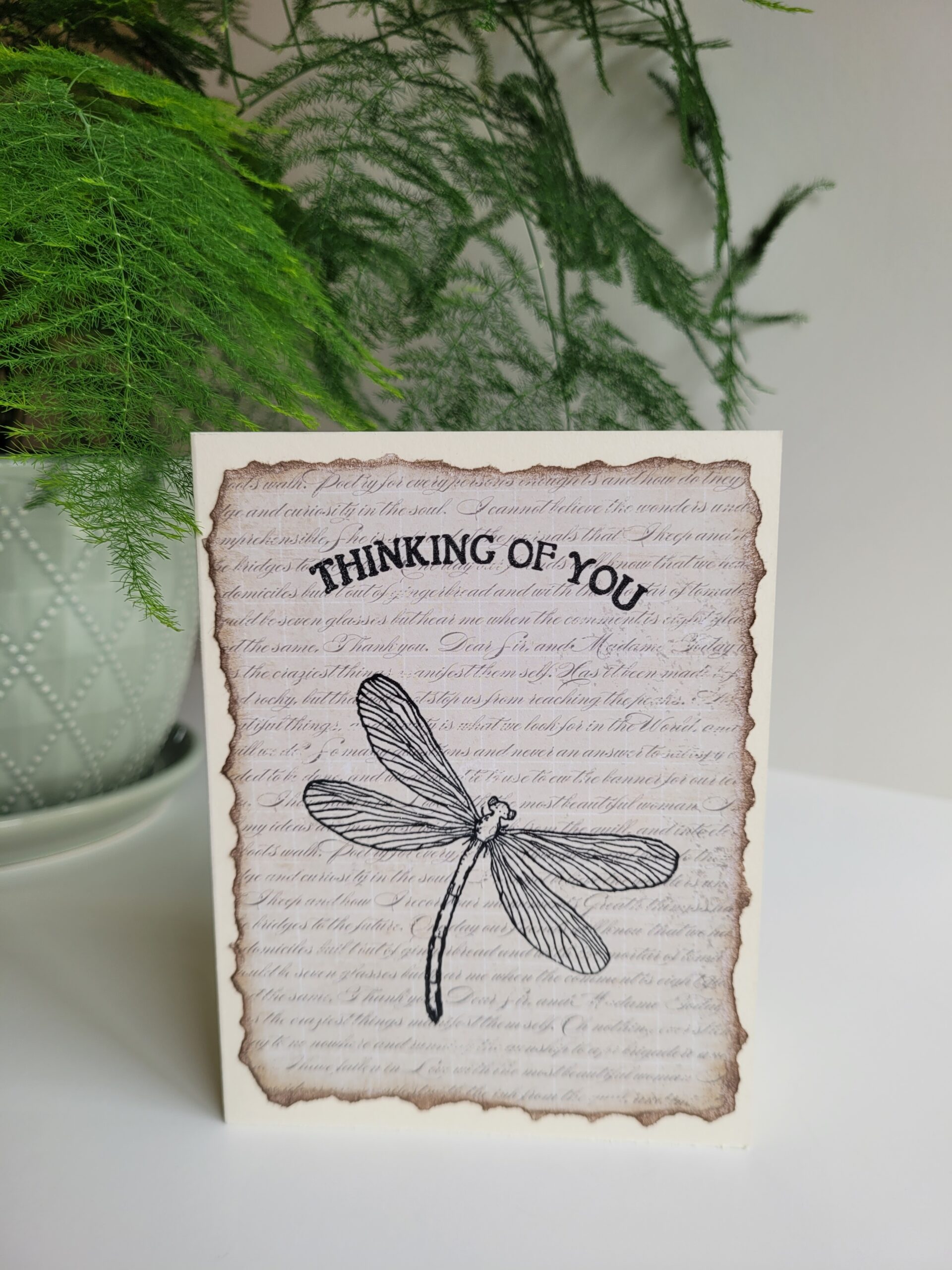 Thinking of You Dragonfly