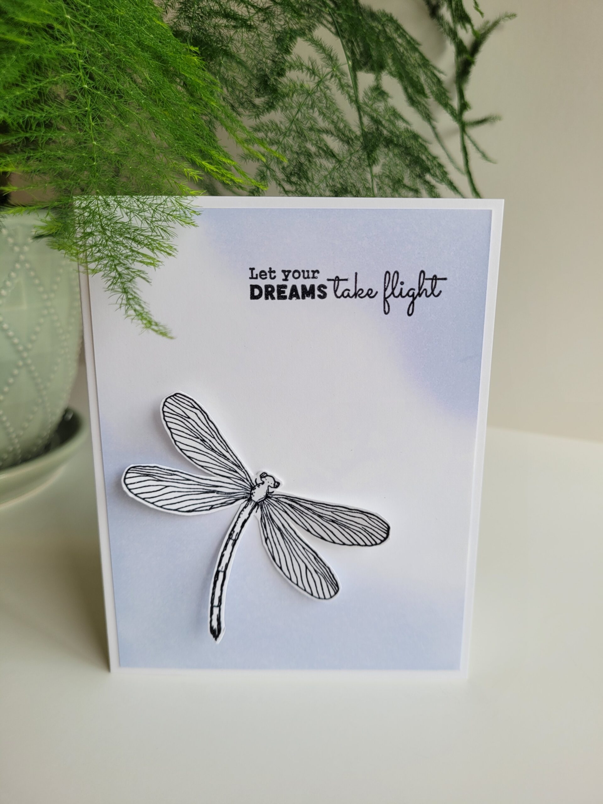 Flying Dragonfly Dreams