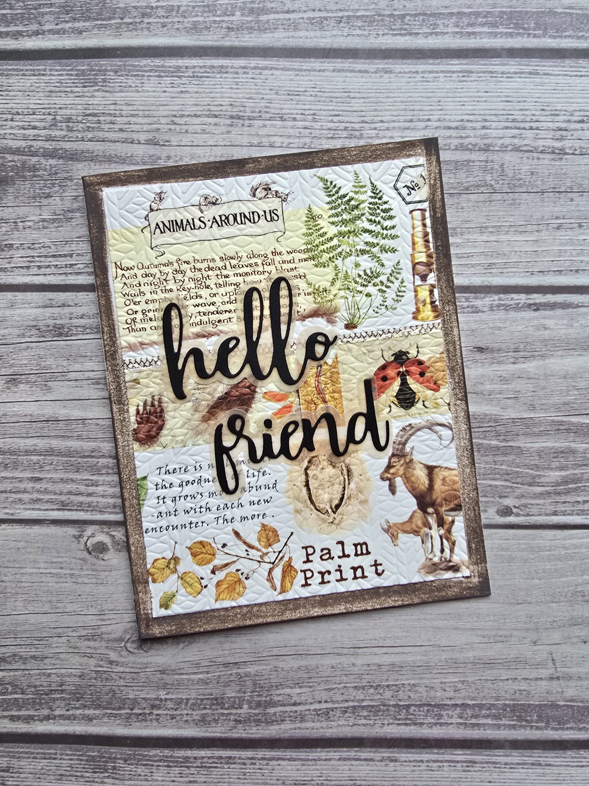 Fall Vibes